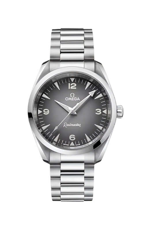 Omega Seamaster Railmaster Mens Watch 235.10.38.20.06.001