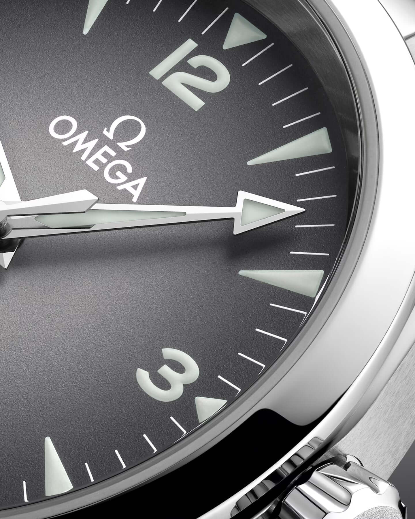 Omega Seamaster Railmaster Mens Watch 235.10.38.20.06.001 - Image 3