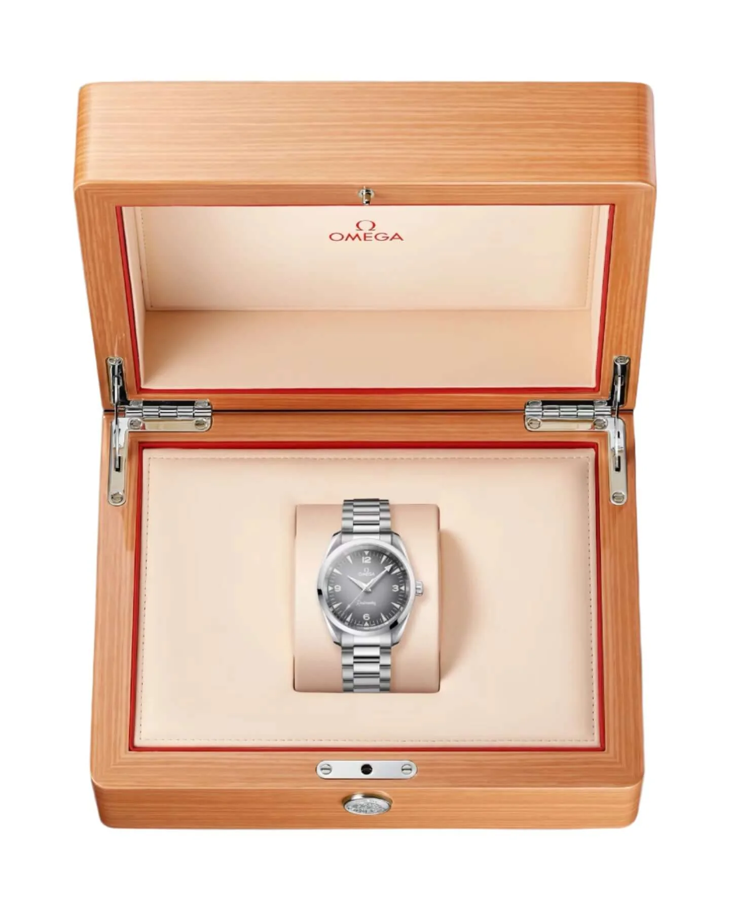 Omega Seamaster Railmaster Mens Watch 235.10.38.20.06.001 - Image 9