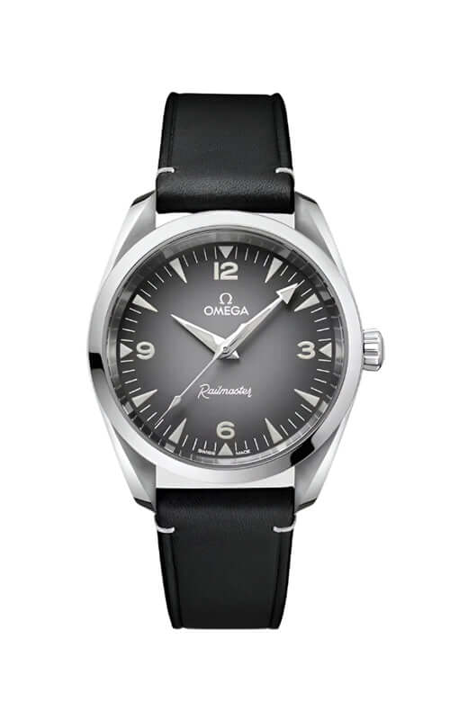 Omega Seamaster Railmaster Watch 235.12.38.20.06.001