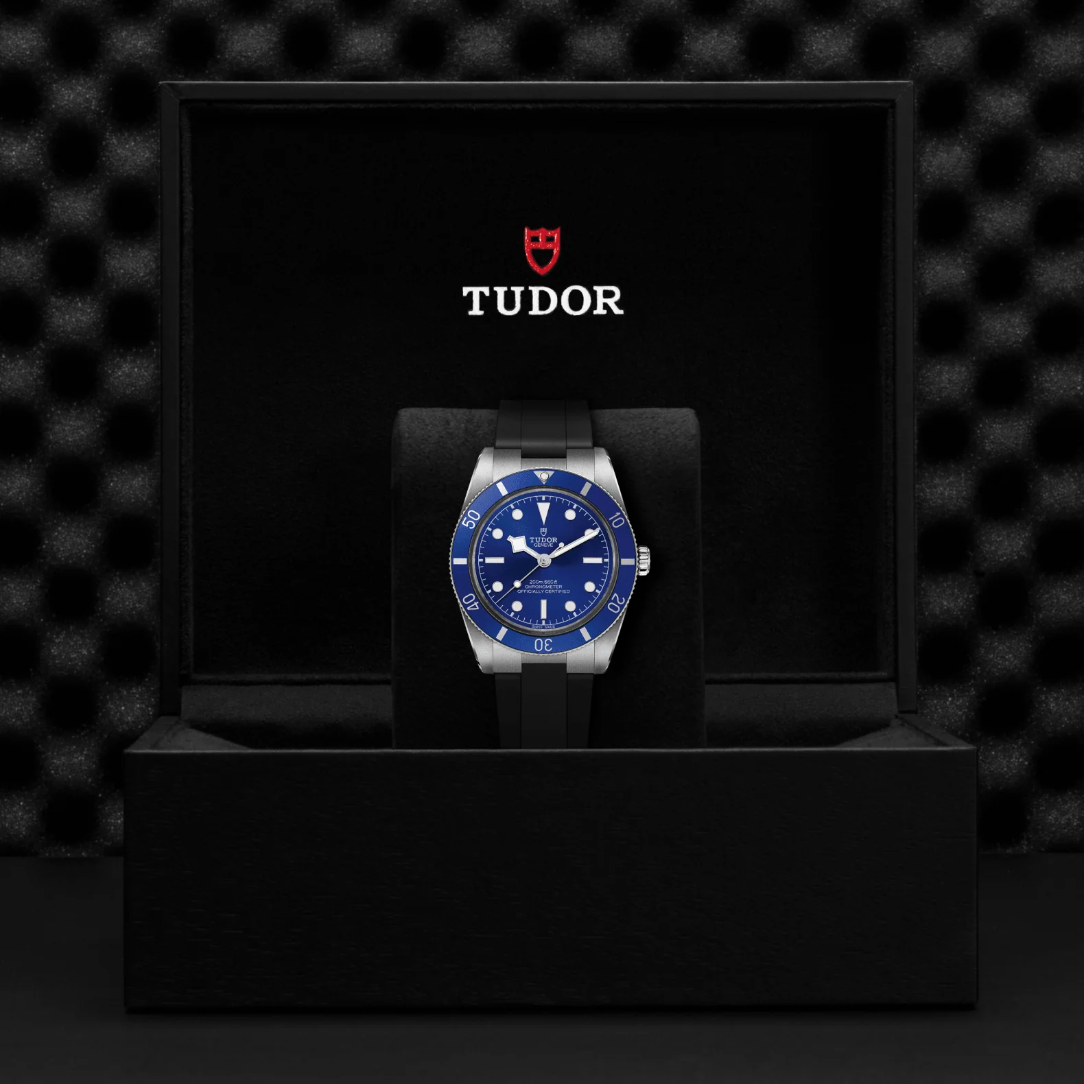 Tudor Black Bay 54 - Image 4