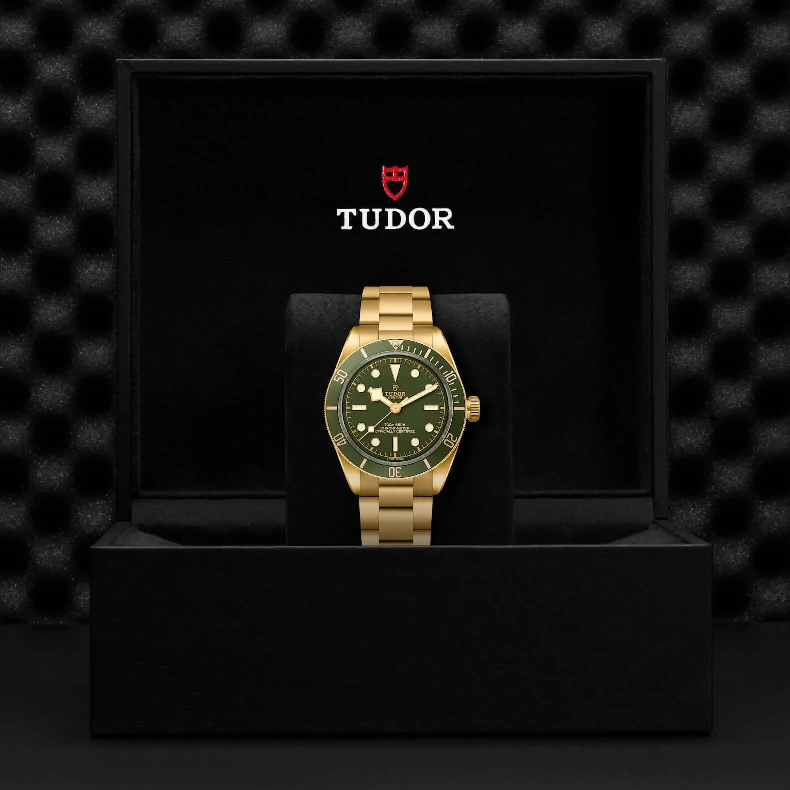Tudor Black Bay Fifty-Eight 18K - Image 4