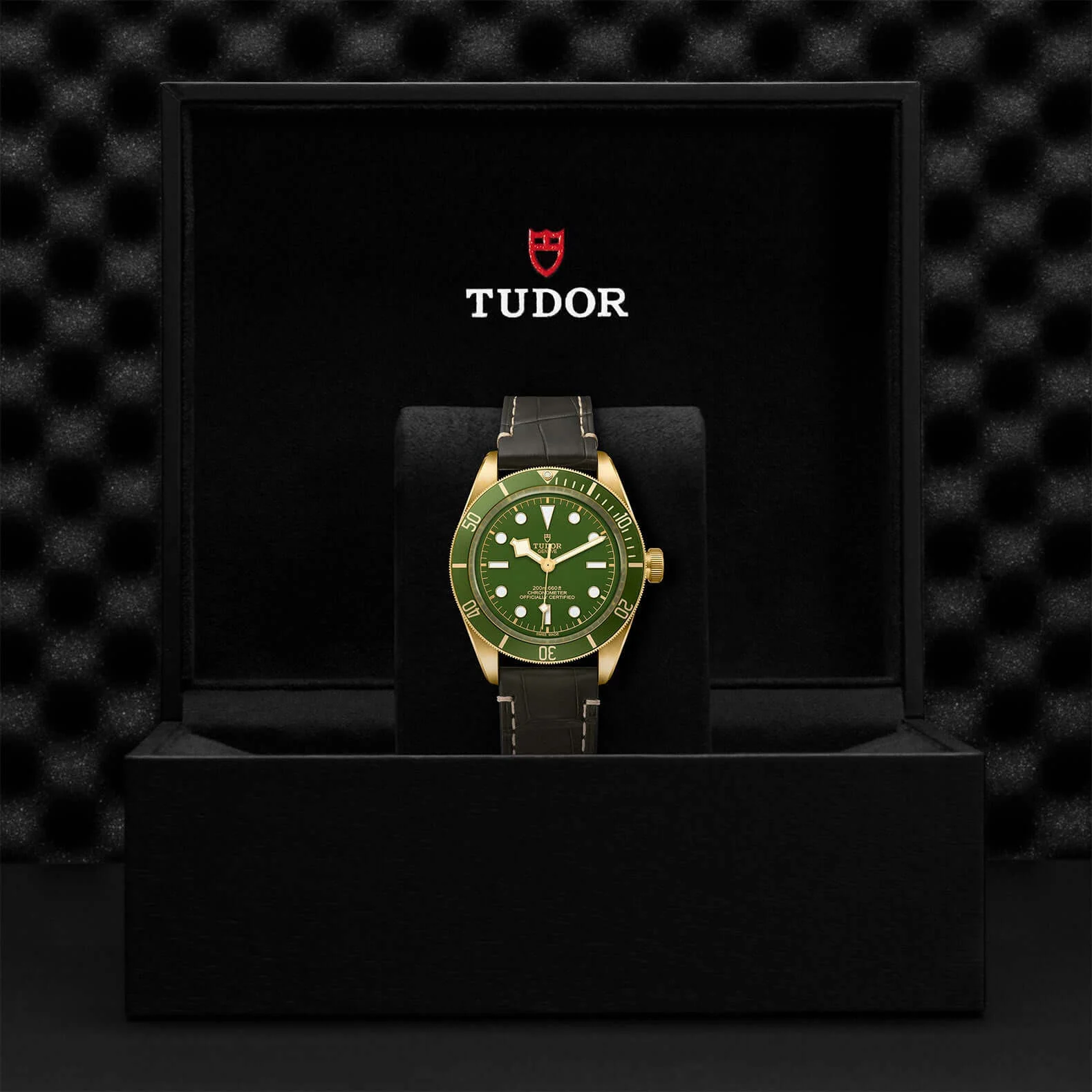 Tudor Black Bay Fifty-Eight 18K - Image 3
