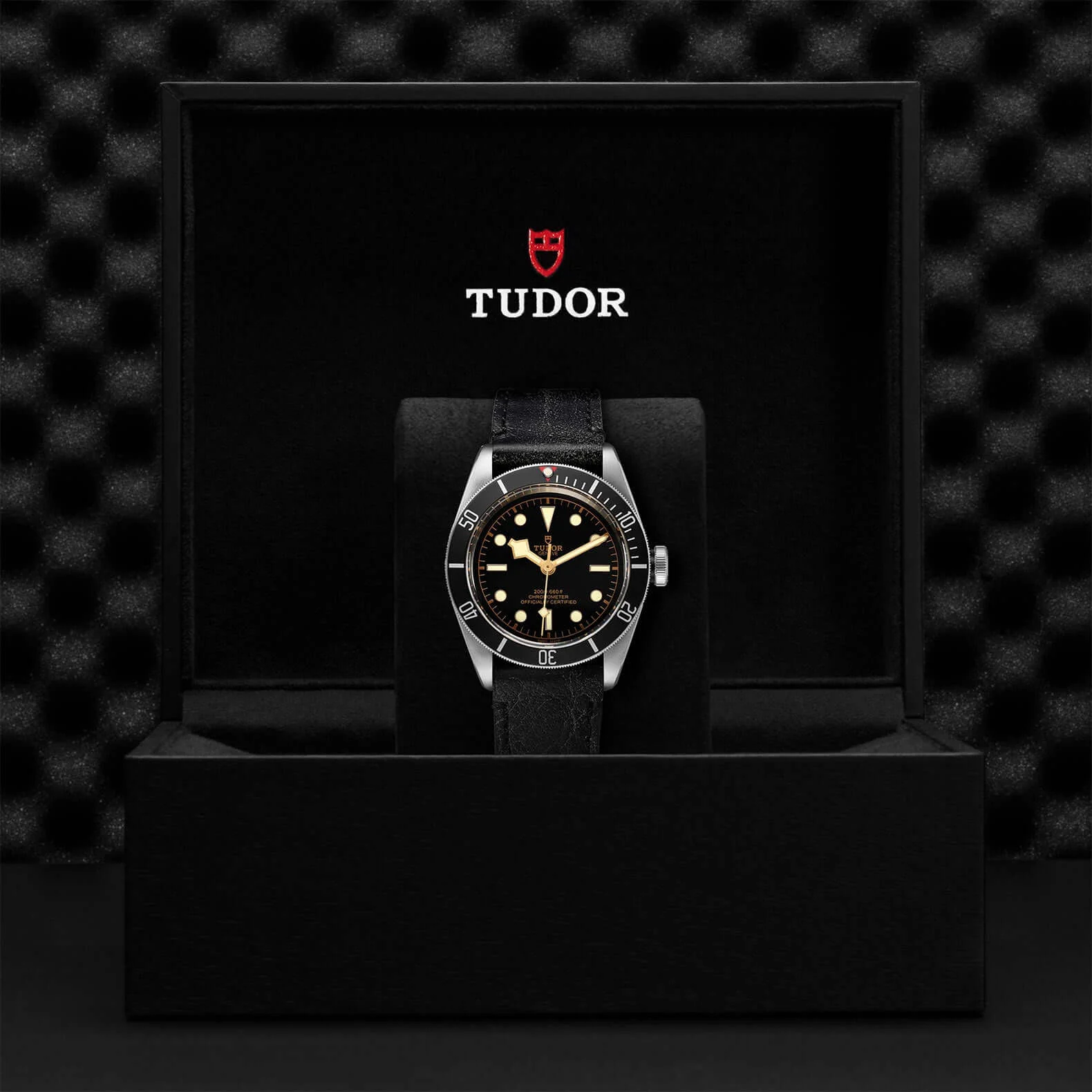 Tudor Black Bay - Image 3
