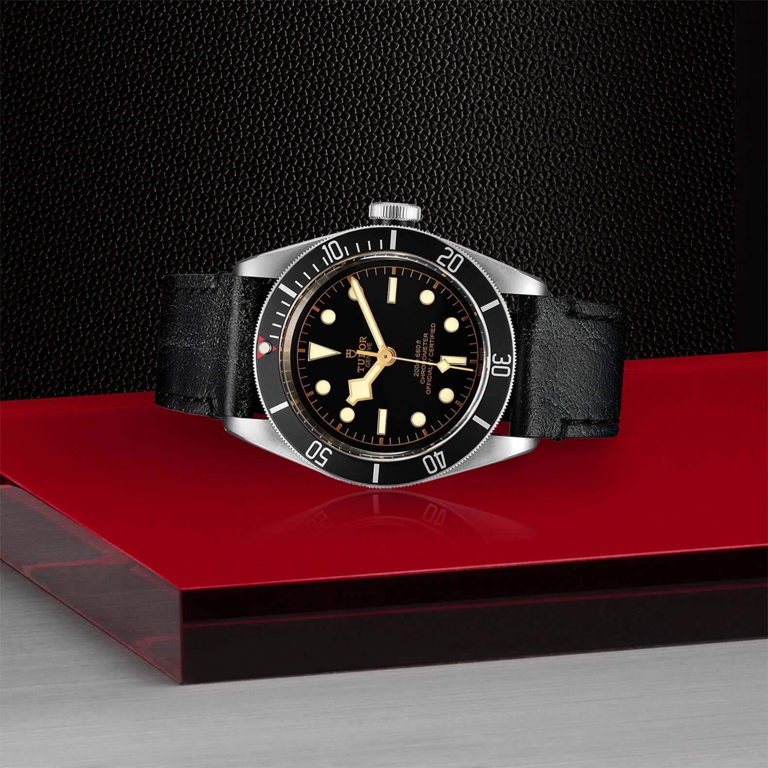 Tudor Black Bay - Image 4