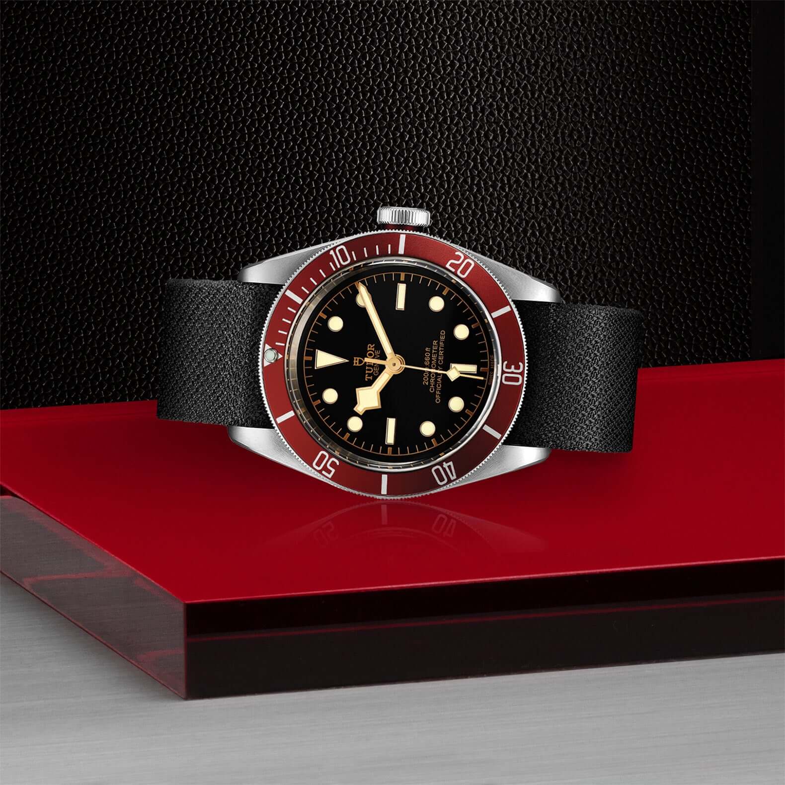 Tudor Black Bay - Image 4