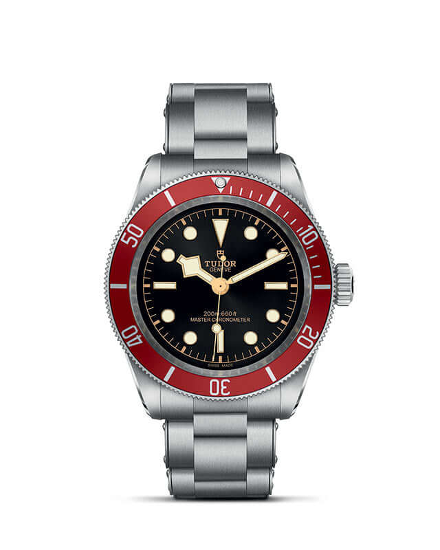 Tudor Black Bay