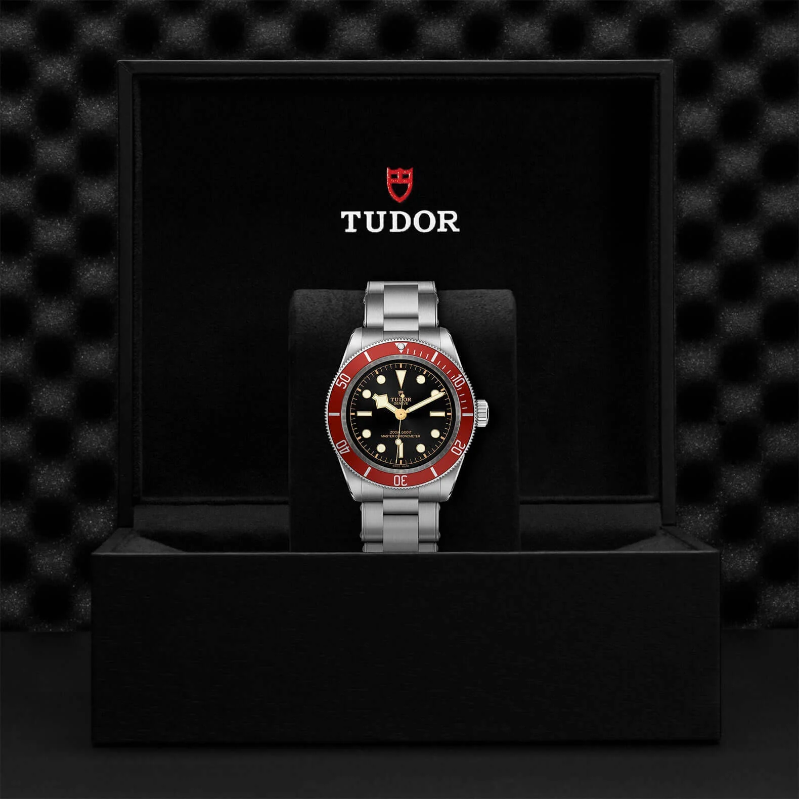 Tudor Black Bay - Image 4