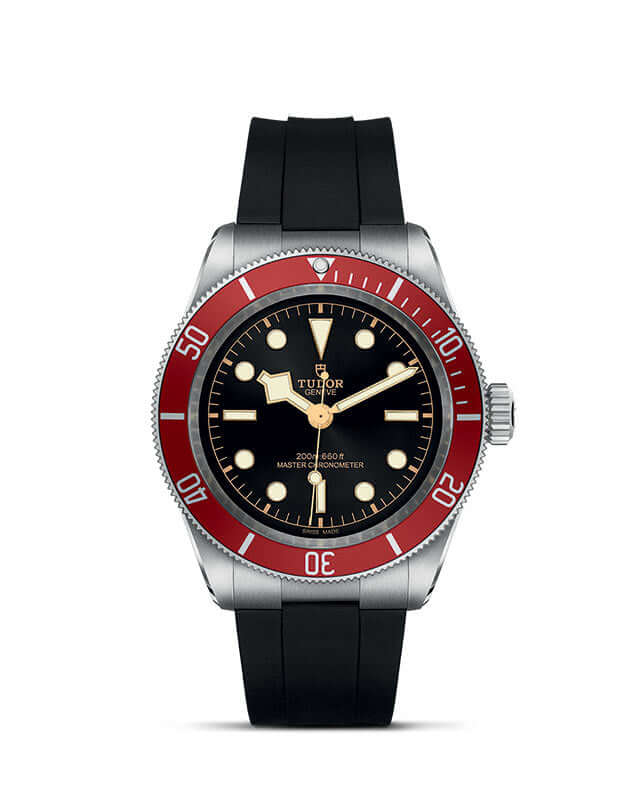Tudor Black Bay