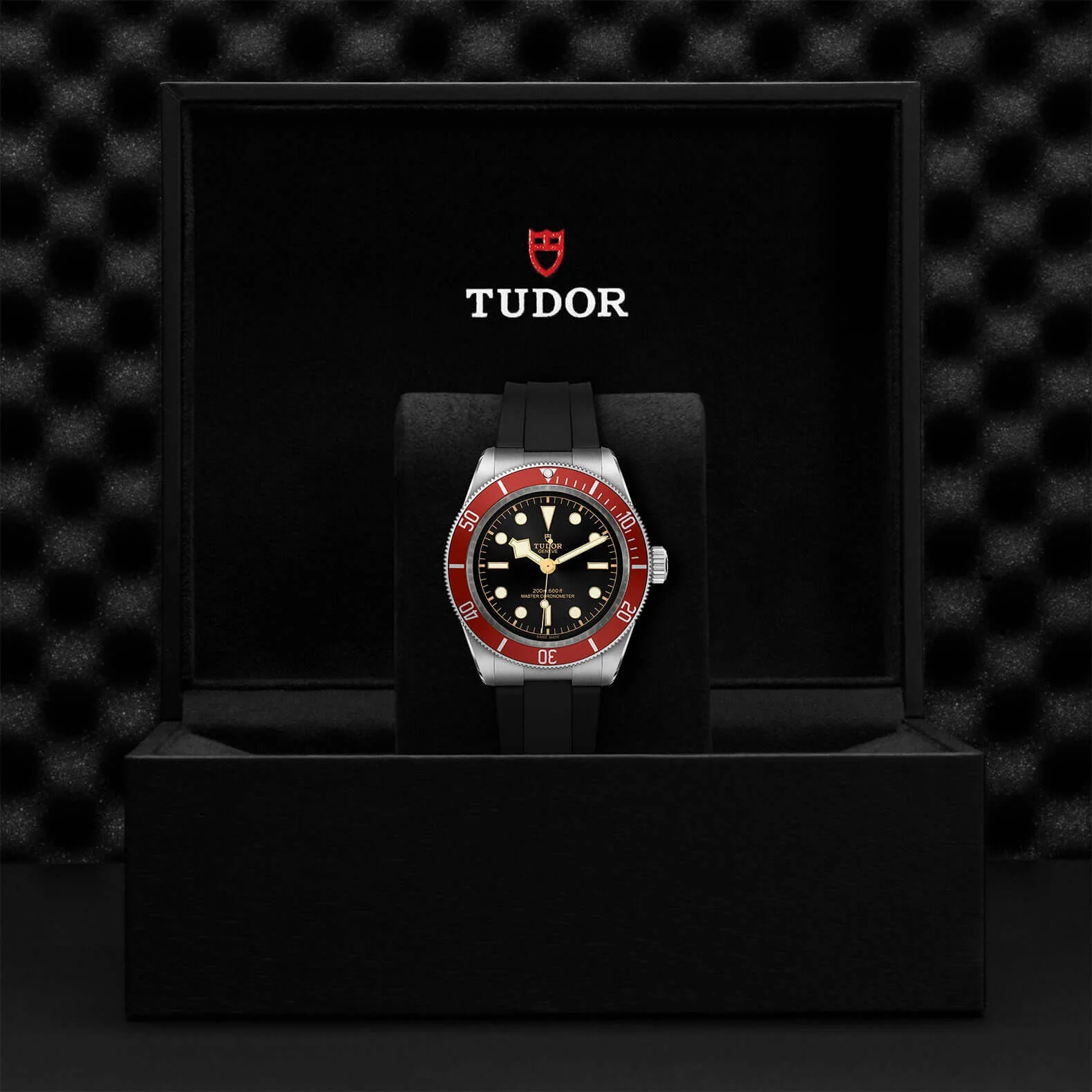 Tudor Black Bay - Image 4