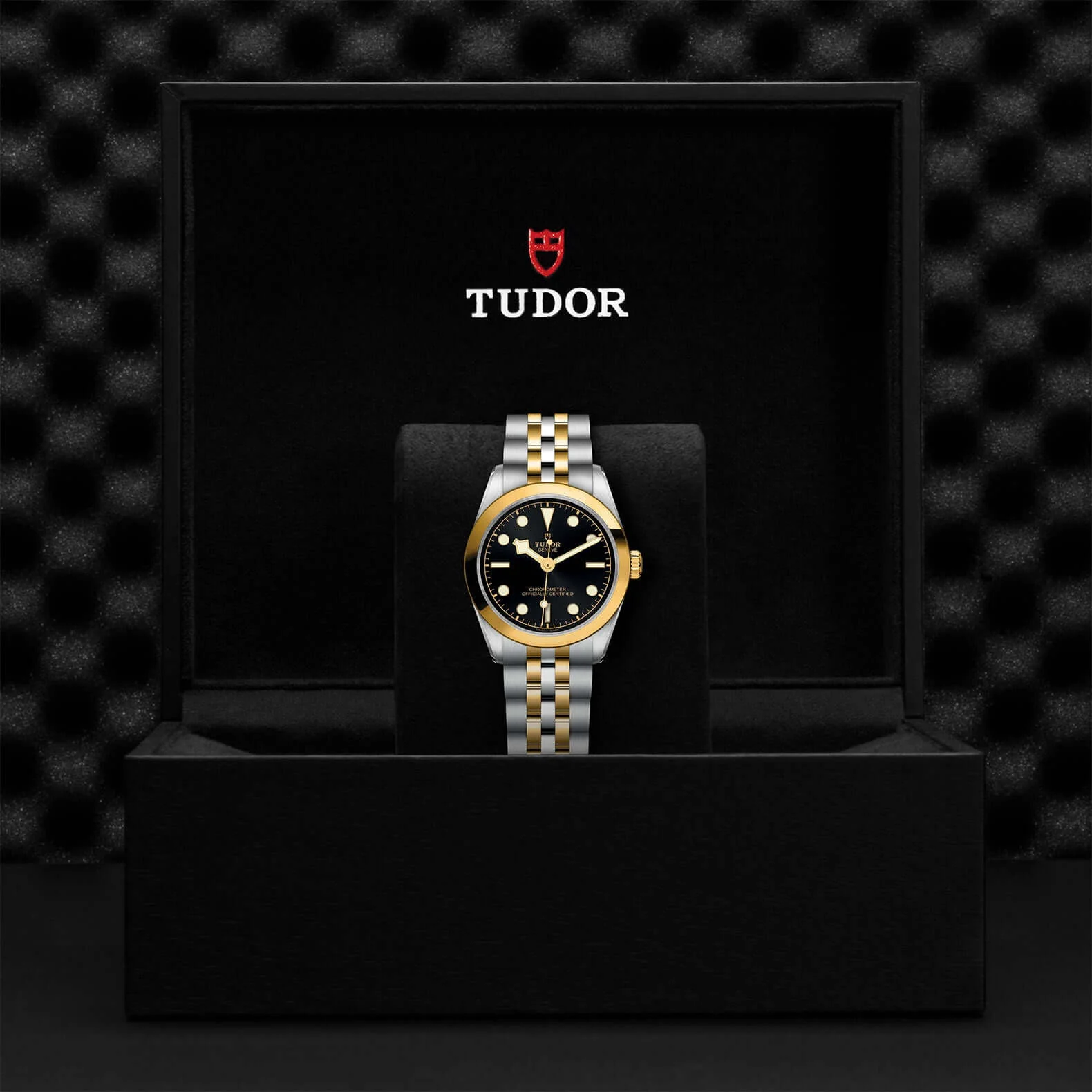 Tudor Black Bay One 31 S&G - Image 3