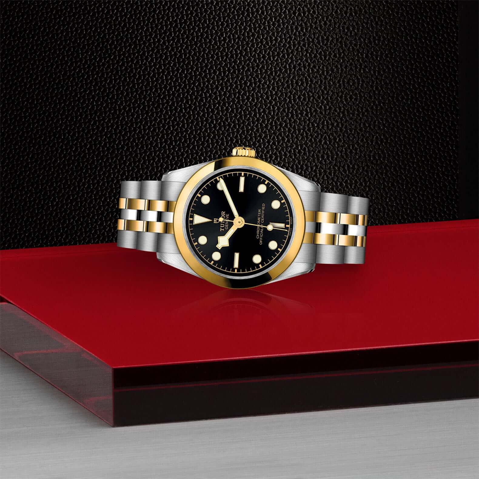 Tudor Black Bay One 31 S&G - Image 4