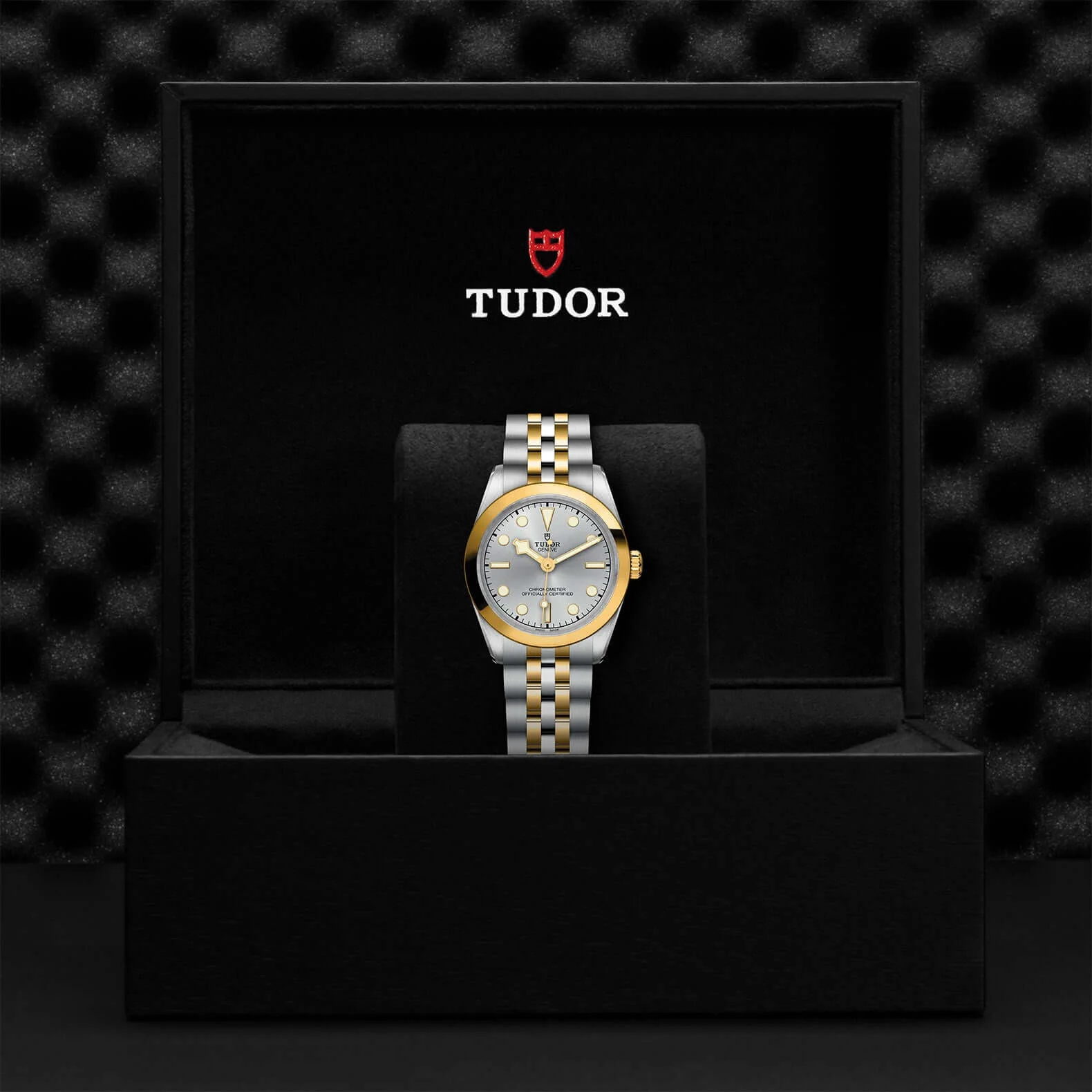 Tudor Black Bay One 31 S&G - Image 3