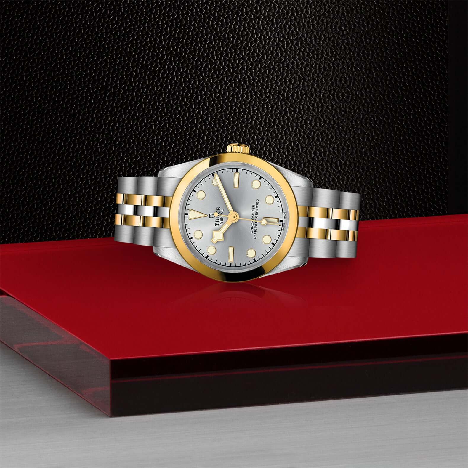 Tudor Black Bay One 31 S&G - Image 4