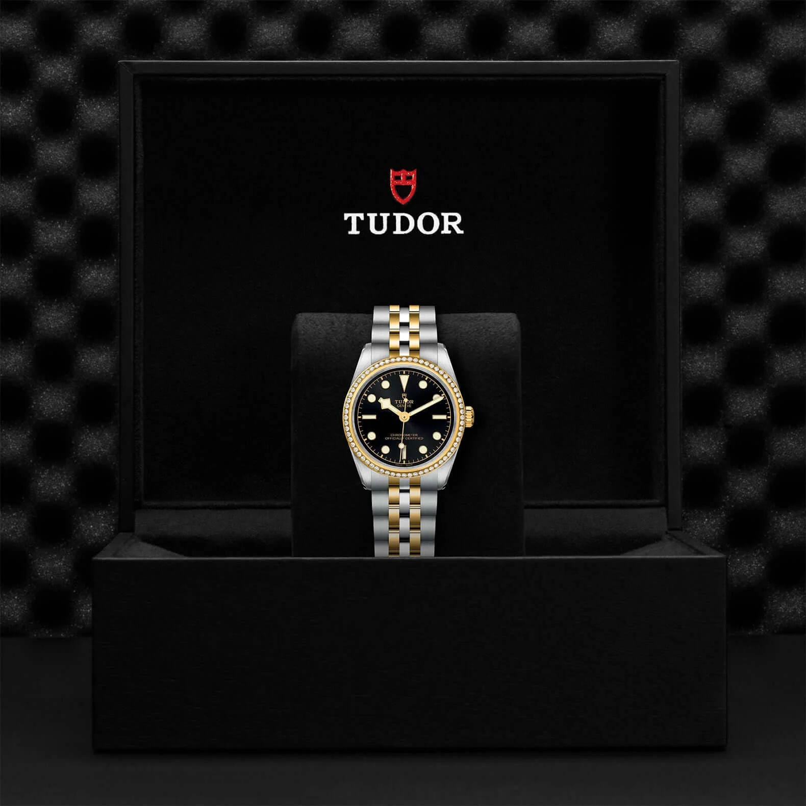 Tudor Black Bay One 31 S&G - Image 3