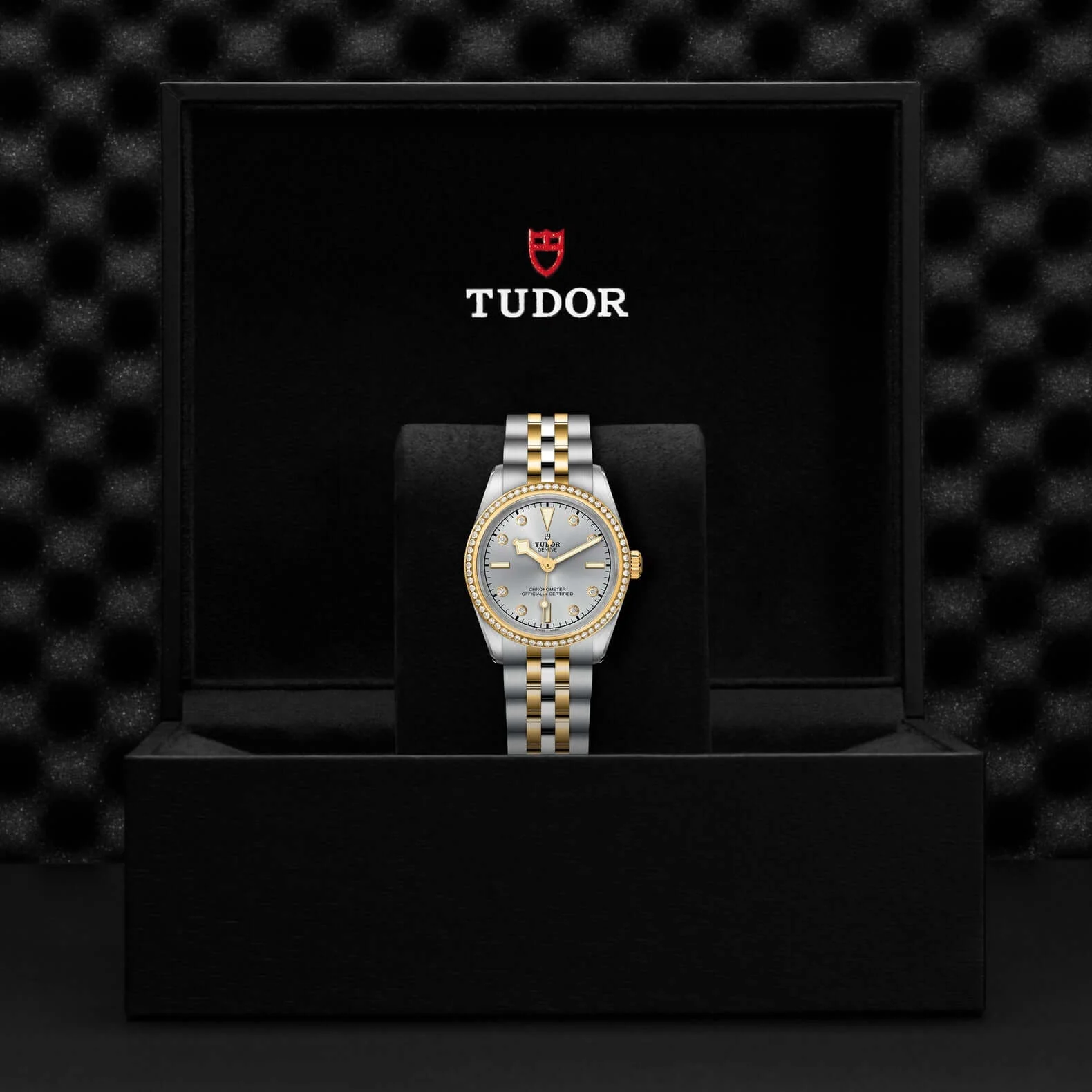 Tudor Black Bay One 31 S&G - Image 3
