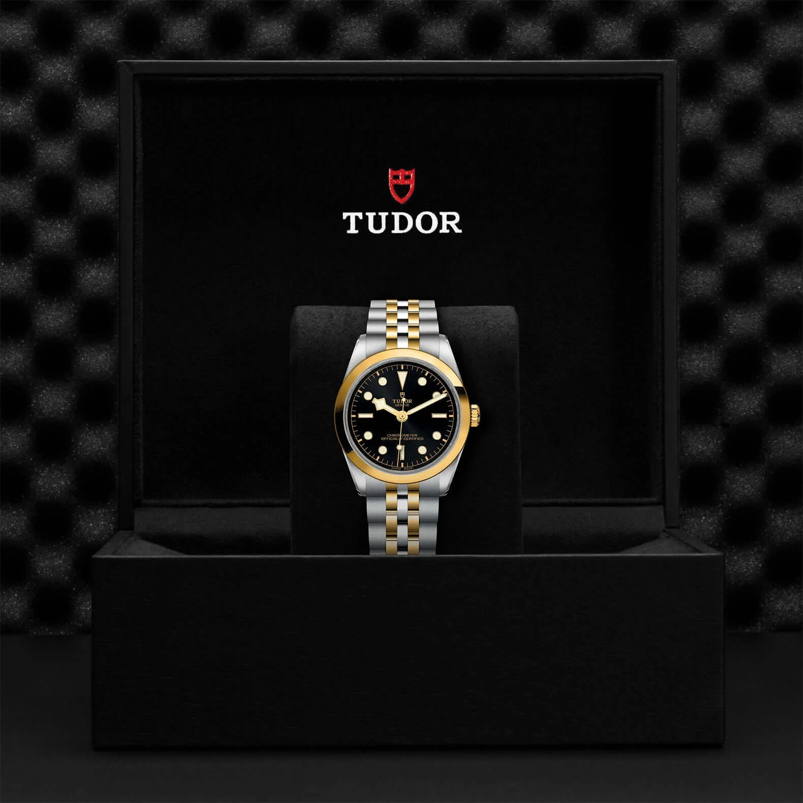 Tudor Black Bay One  36 S&G - Image 3