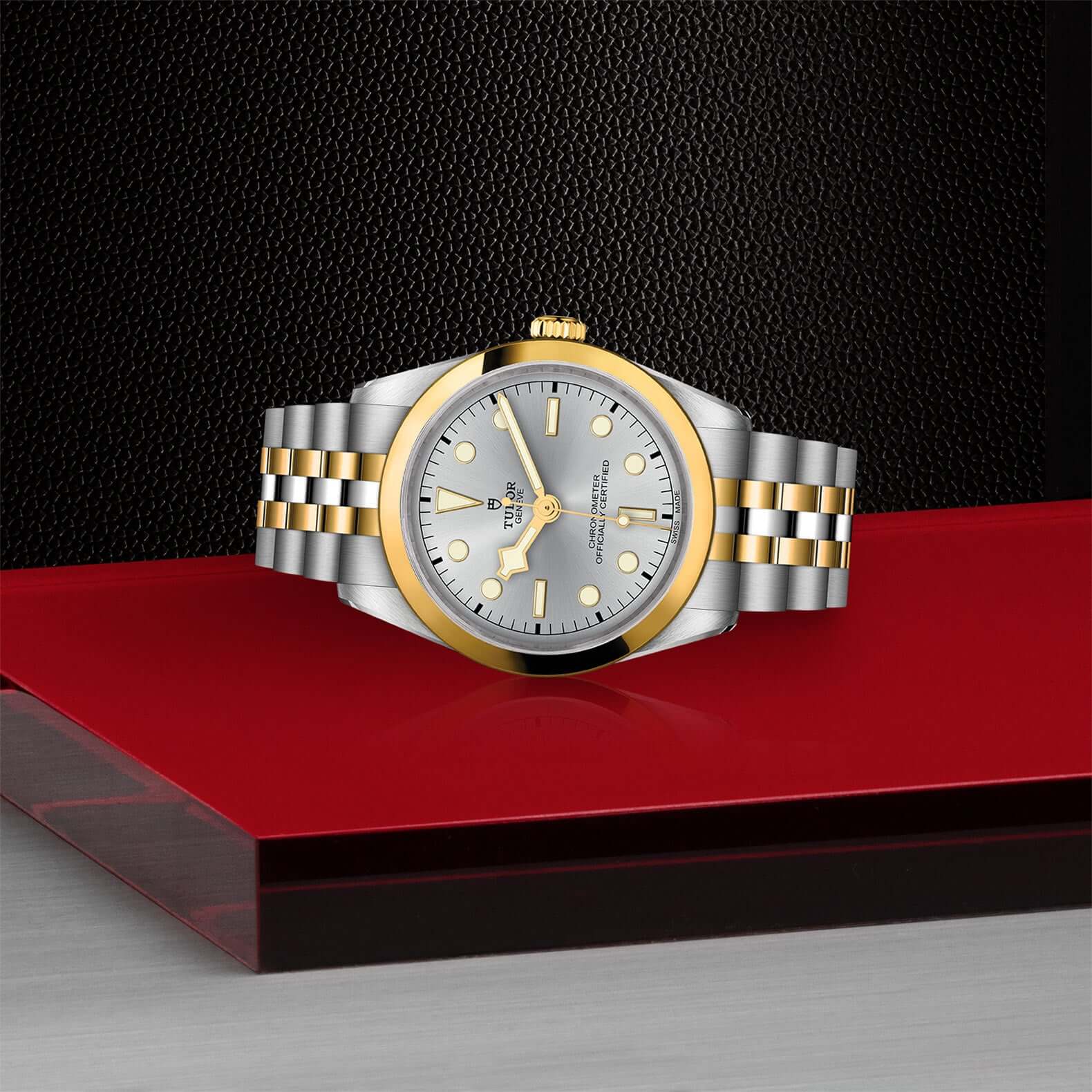 Tudor Black Bay One  36 S&G - Image 4