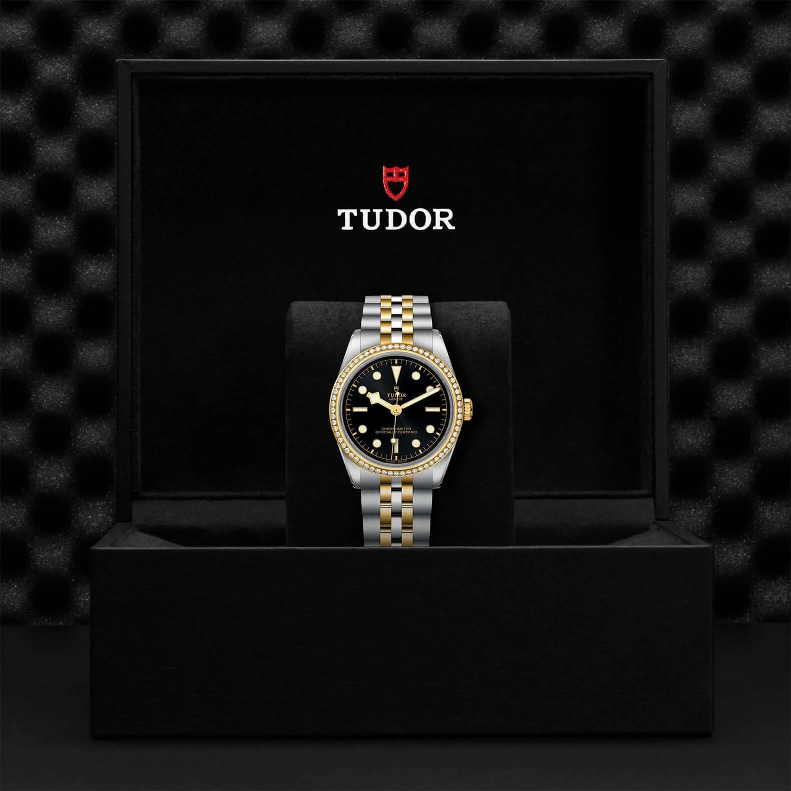 Tudor Black Bay One  36 S&G - Image 3