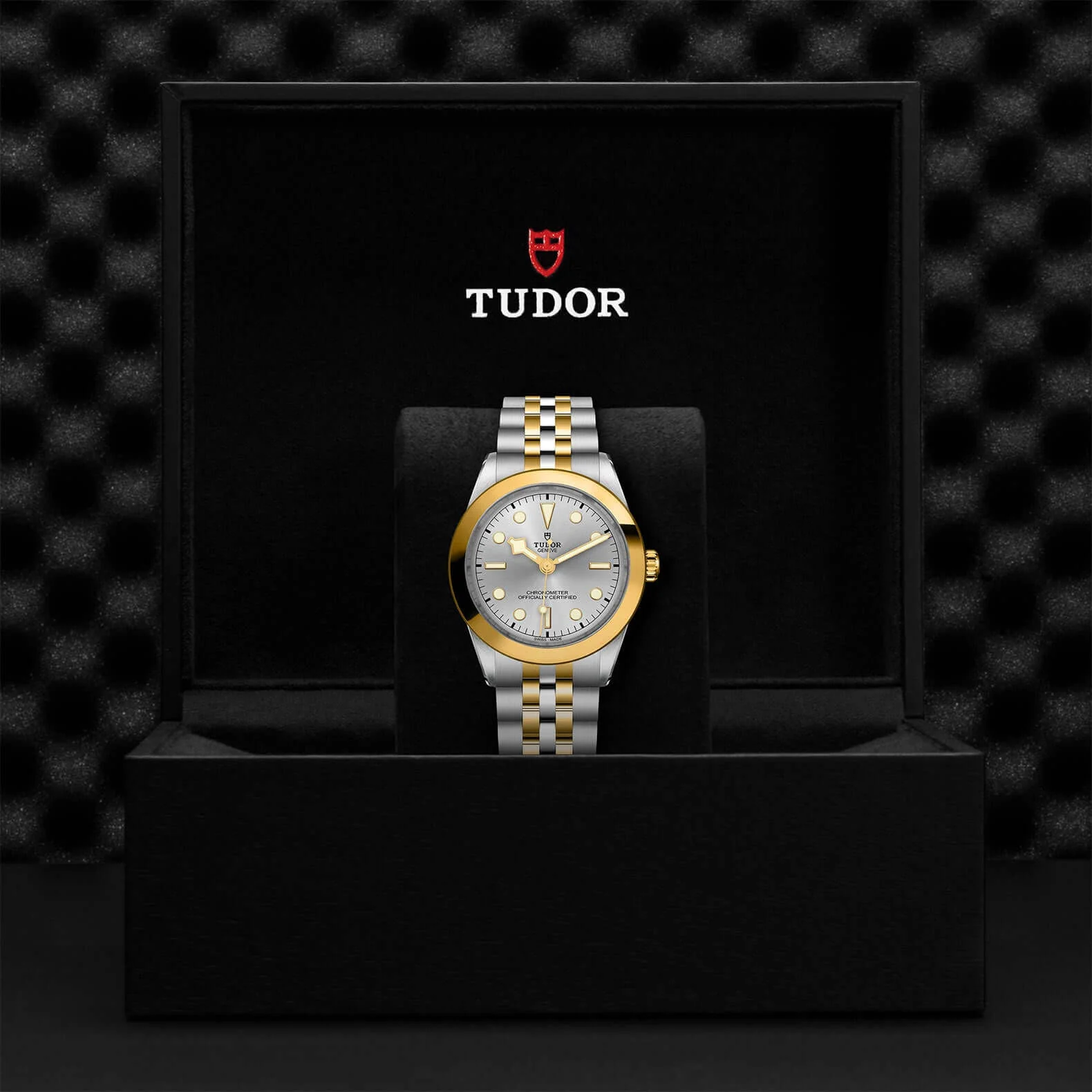 Tudor Black Bay One 39 S&G - Image 3