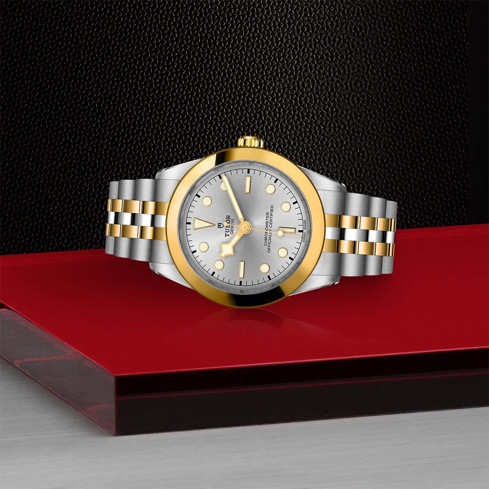 Tudor Black Bay One 39 S&G - Image 4
