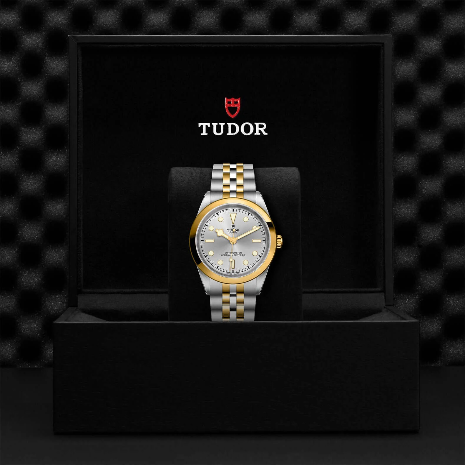 Tudor Black Bay One 41 S&G - Image 3