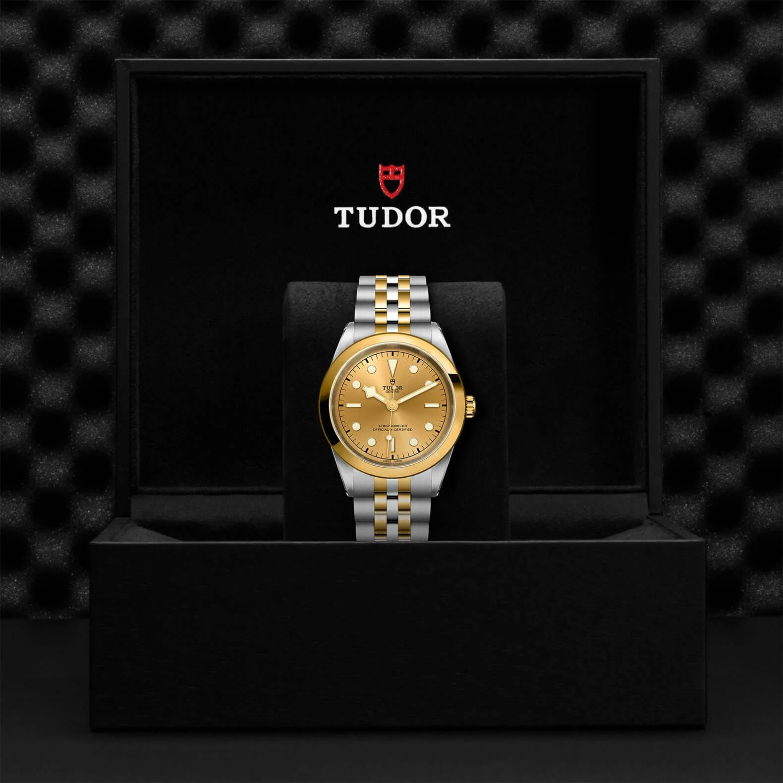 Tudor Black Bay One 41 S&G - Image 3