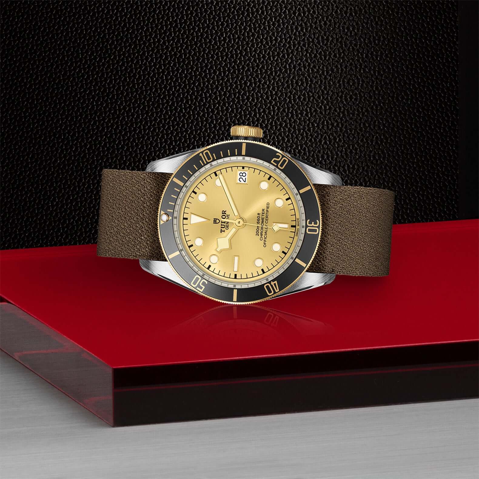 Tudor Black Bay Steel and Gold - Image 4
