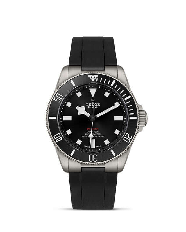 Tudor Pelagos 39 - Image 2