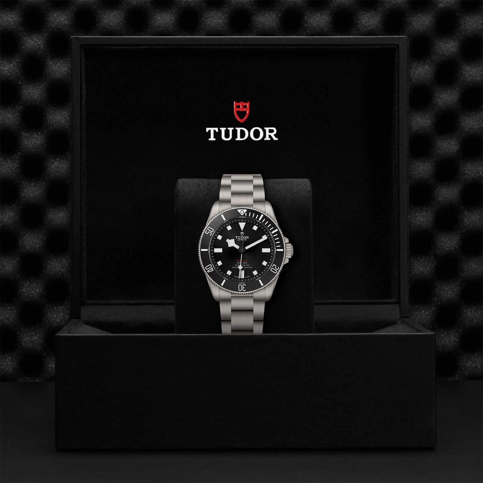 Tudor Pelagos 39 - Image 5
