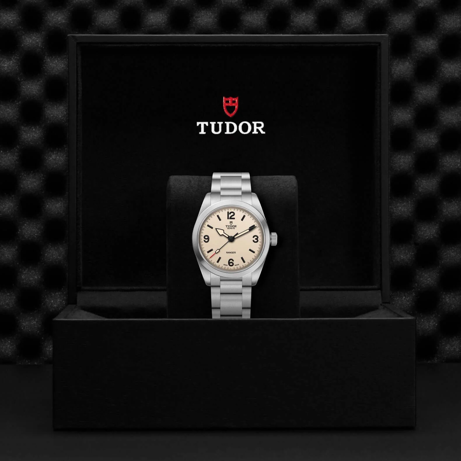Tudor Ranger - Image 4