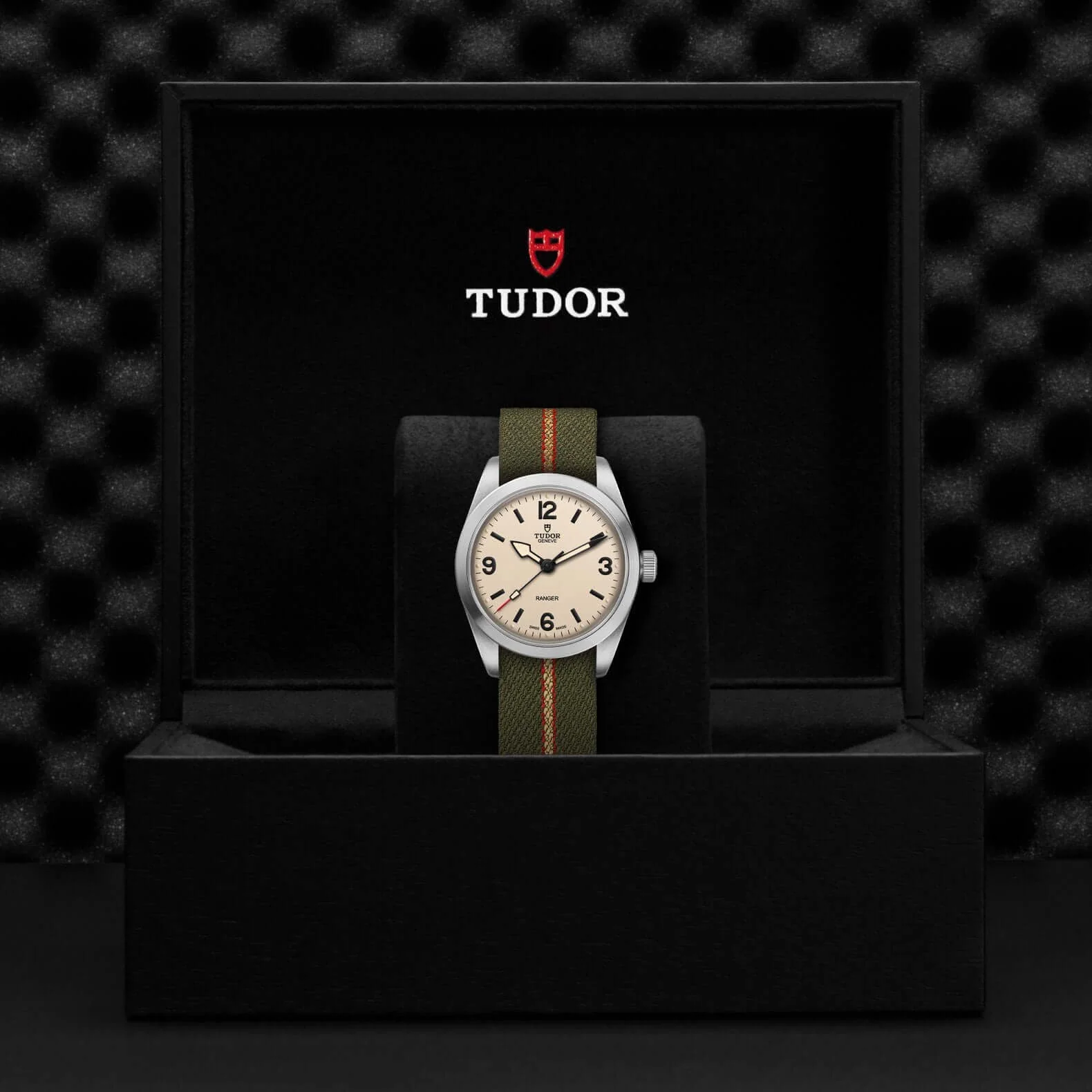 Tudor Ranger - Image 4