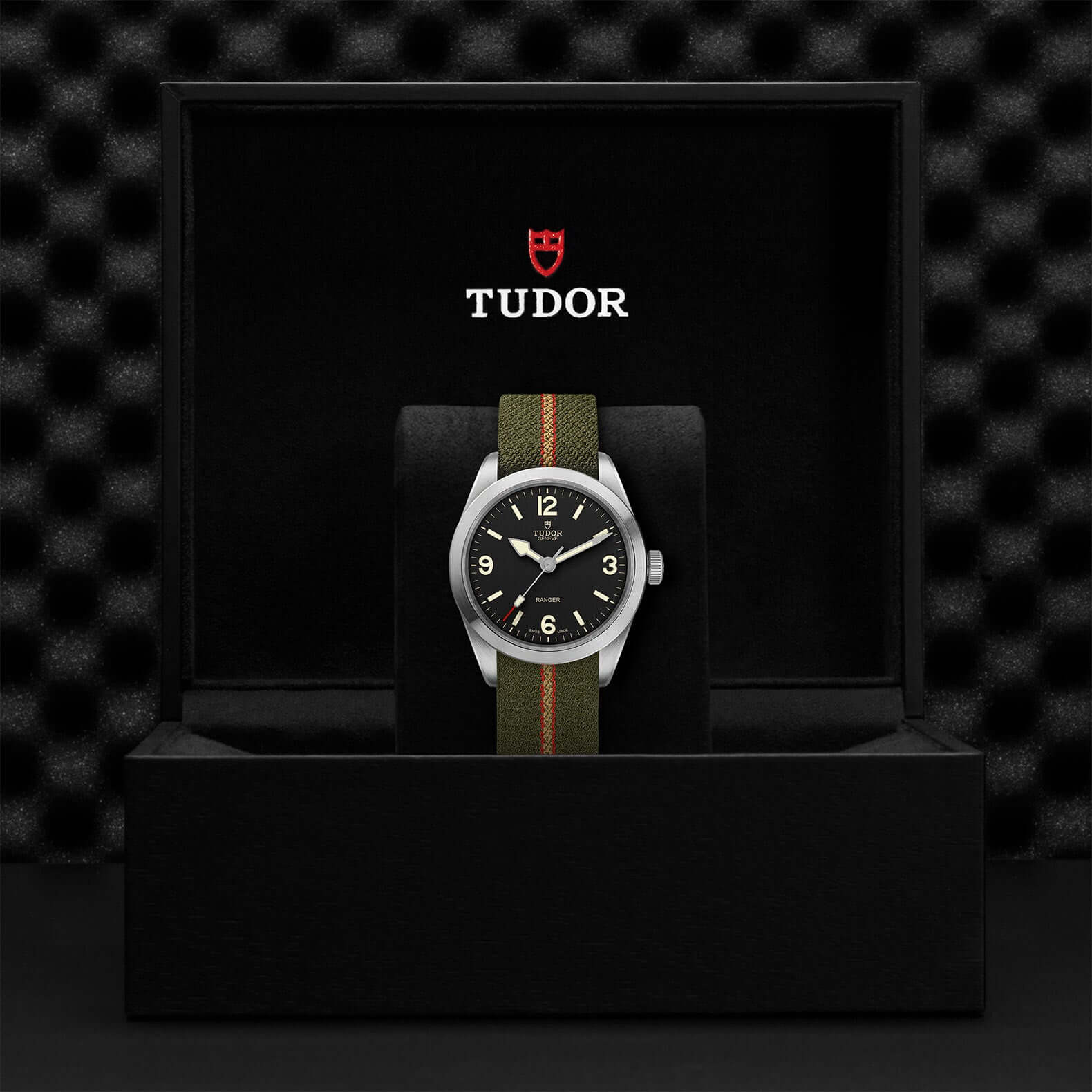 Tudor Ranger - Image 4