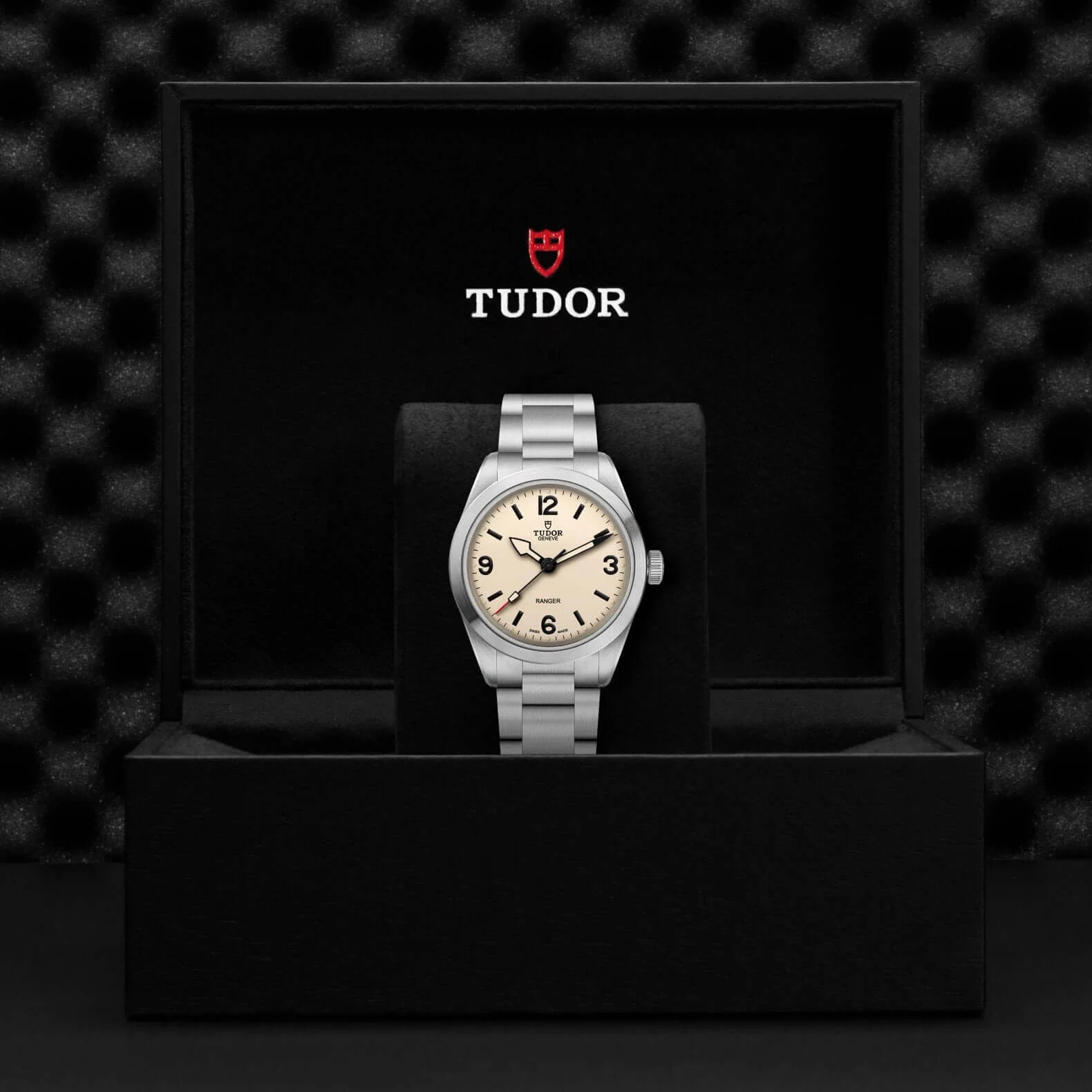 Tudor Ranger - Image 4