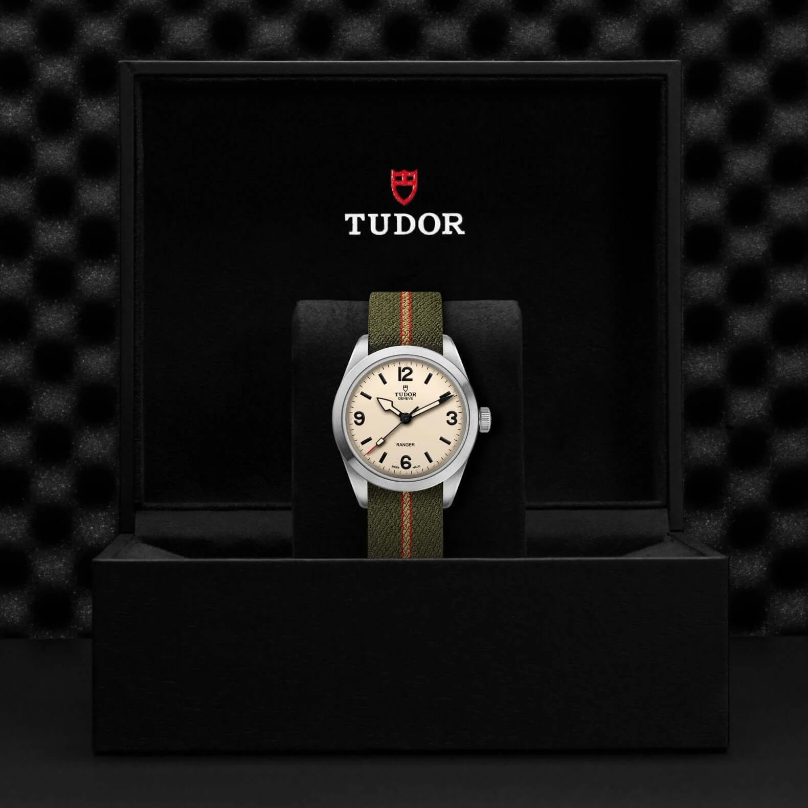 Tudor Ranger - Image 4